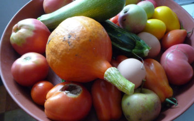 Kompostieren im Hausgarten – Obst und Gemüseverwertung